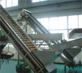 Stainless Steel Clapboard Elevator for Different Fruit