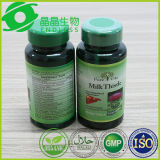 Private Label Holy Thistle Liver Pain Medicine