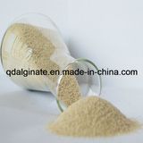 Sodium Alginate in Lowest Price for Textile Industry 1400cps