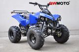 125CC ATV Quad Bike for Kids (QWATV-02E)