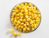 Canned Sweet Corn/Canned Food