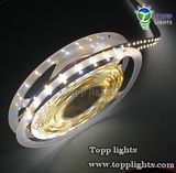 2 Color LED Strip Lights (TP-RA3528XC/CX-24-120)