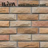 Wall Cladding Stone, Manmade Bricks, Cement Stone (YLD-13009)