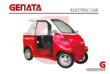 Zero Emission Green Power Electric Car with 2 Seats