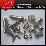 Special Bolt (Stainless Steel)