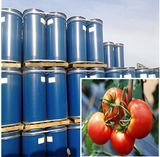 36-38% Tomato Paste in Drum with Competitive Price