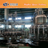 Glass Bottle Juice Hot Filling Machinery (RCGN32-32-10)