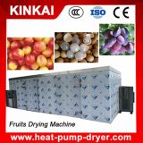 Hot Air Circulation Industrial Fruit Drying Machine
