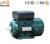 Electric AC Motor