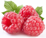 Chinese Herb Extract Herbal Weight Loss Raspberry Ketone