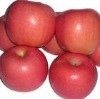 Fresh Apple of China/ High-Qualitied Fruits