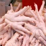Frozen Chicken Feet and Wings for Sale