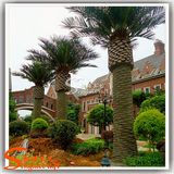 8 Meters of Artificial Tree for Decoration Made in Professional Supplier