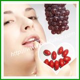 Grape Seed Softgel