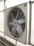 Centrifugal and Weight Balanced Exhaust Fan for Greenhouse or Textile Industry