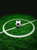 Emulational Artificial Turf for Football and Other Sports Field