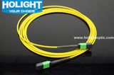 MPO/MPO Patch Cords