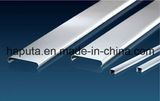 Building Material Decorative Ceiling
