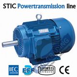 IEC Cast Iron Ie3 Electric Motor