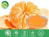 100% Orange Powder for Beverage or Food Additive