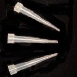 Pipette Tips (10ul)