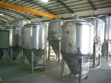 Beverage Fermentation Tank
