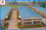 Light Steel Building with SGS Standard (EHSS023)