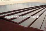 Concret Plywood