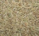 2015 New Crop Healthy (ISO) Cumin Seeds