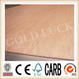 Bintangor/Okoume Commercial Plywood for Package or for Furniture (QDGL140917)