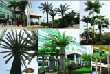 Palm Tree (17848/18004/17849)