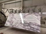 New Polished Lalic White Marble Book Match for Background /Wall/Floor
