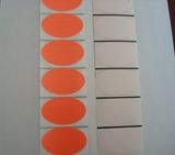 Fluorescent Labels