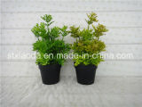 Artificial Plastic Potted Flower (XD15-367G)
