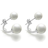 Stainless Steel Jewelry Fashion Jewellery Earring (hdx1102)