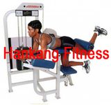 Fitness, Fitness Equipment, Glute (PT-419)