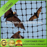 Cheap HDPE Agricultural Anti Bird Net Protecting Net