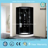 Black Finished Aluminum Frame Steam Complete Shower Room (BLS-9833)