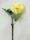 Artificial Silk Single Stem Peony Flower for Decoration