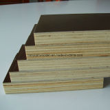 Anti-Slip Waterproof Birch Film Faced Plywood