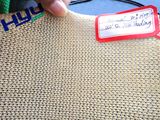 Beige Color Scaffolding Net with 200G/M2