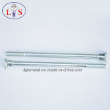 Stainless Steel Carriage Bolt /Square Neck Bolt with High Strength