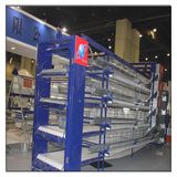 Poultry Farm Layer Stacked Chicken Coop Wire Mesh
