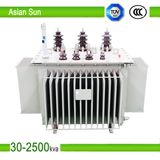 10kv 30kVA ~ 1600kVA Series Oil Immersed Power Distribution Transformer