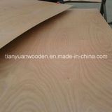 (Pencil cedar) Furniture Grade Okoume Plywood