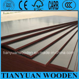 21mm Poplar Film Faced Plywood/Construction Plywood for Formwork/Laminated Board