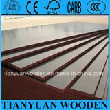 21mm Poplar Film Faced Plywood/Construction Plywood for Formwork/Laminated Board