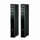 Professional 2.0 Active Home Speakers (Active-2008)