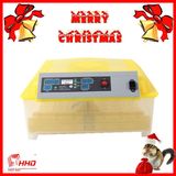 CE Approved Automatic Mini Chicken Egg Incubatofor for Sale