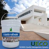 Organic Silicon Wall Paint/Emulsion Paint (w115)